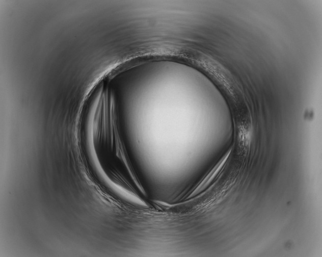 X0000098020676200804181203