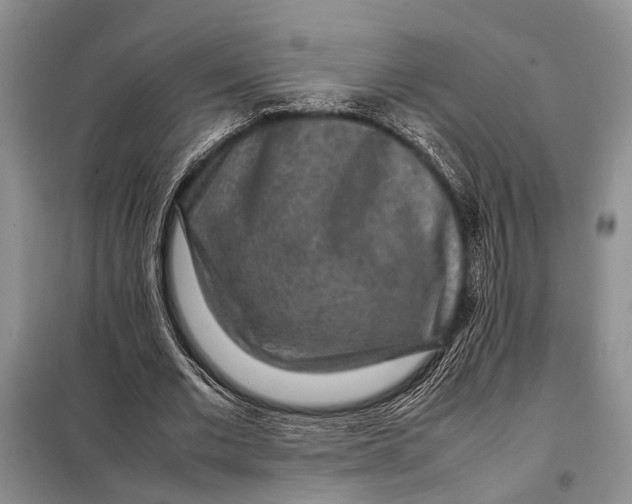 X0000098020677200804181203