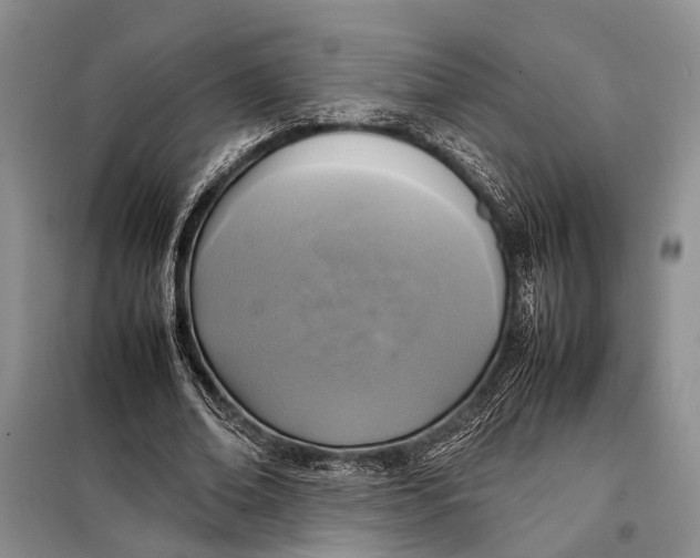 X0000098020678200804181203