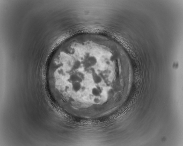 X0000098020679200804181203