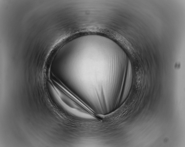 X0000098020680200804181203