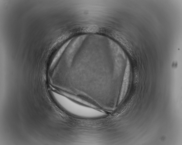 X0000098020681200804181203