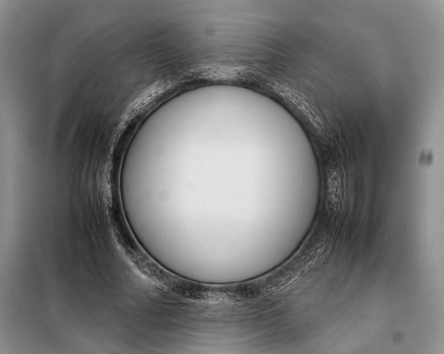 X0000098020682200804181203