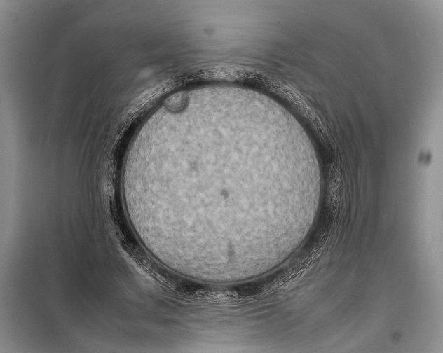X0000098020683200804181203