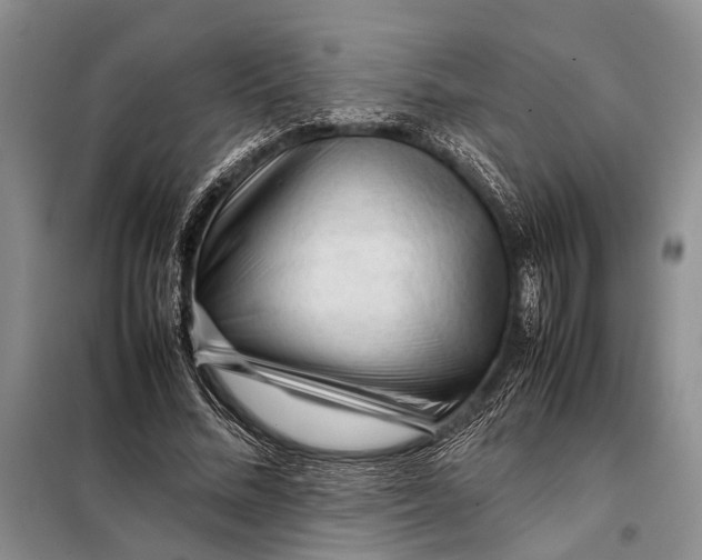 X0000098020684200804181203
