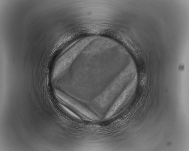 X0000098020685200804181203