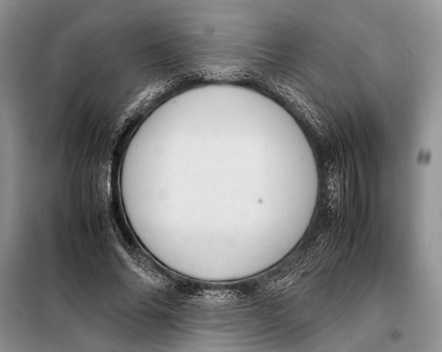 X0000098020686200804181203