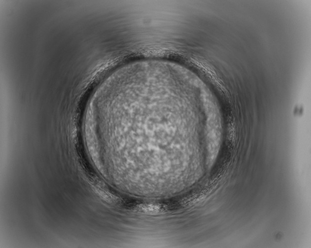 X0000098020687200804181203