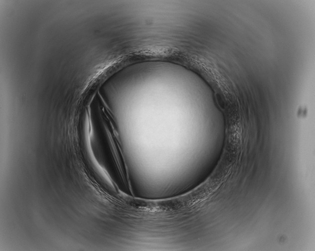 X0000098020688200804181203