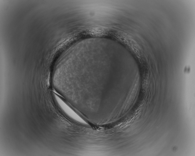 X0000098020689200804181203