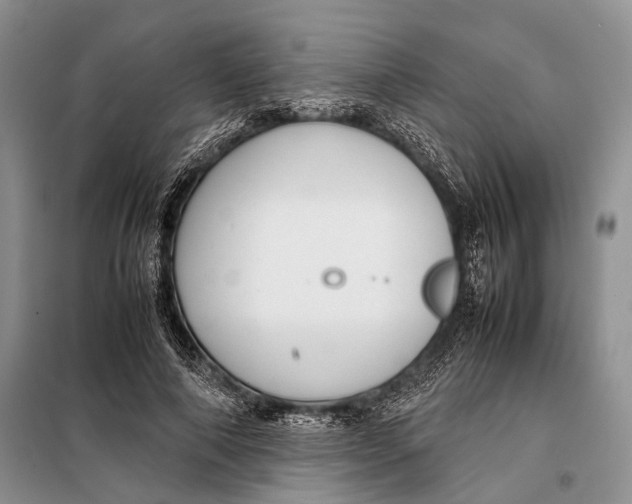 X0000098020690200804181203
