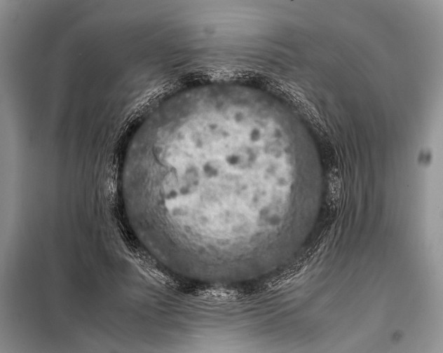 X0000098020691200804181203