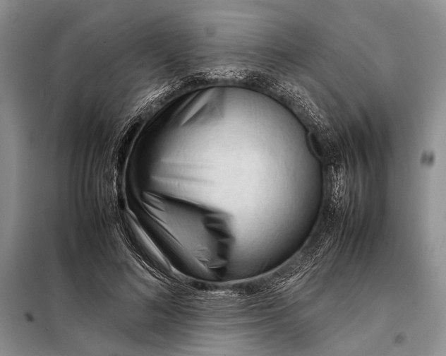 X0000098020692200804181203