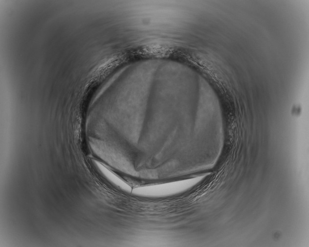 X0000098020693200804181203