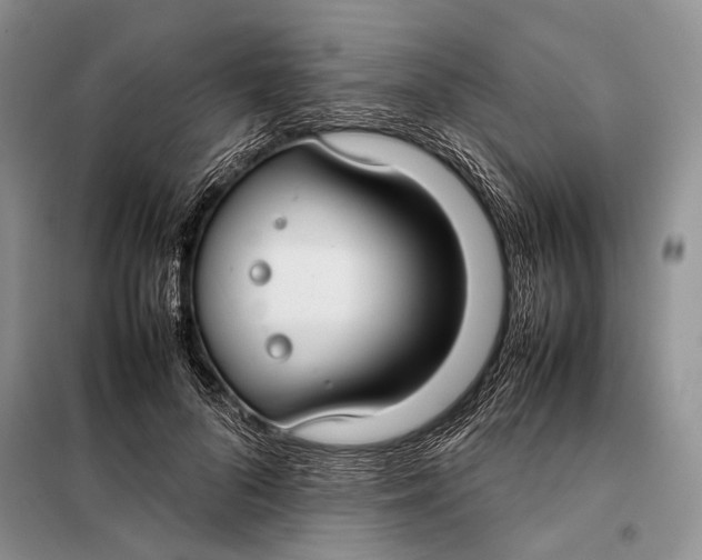 X0000098020696200804181203