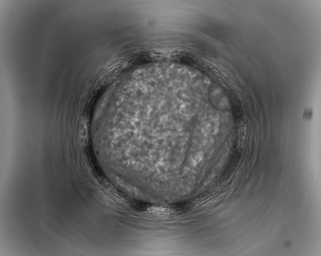 X0000098020699200804181203