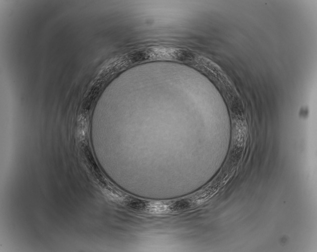 X0000098020701200804181203