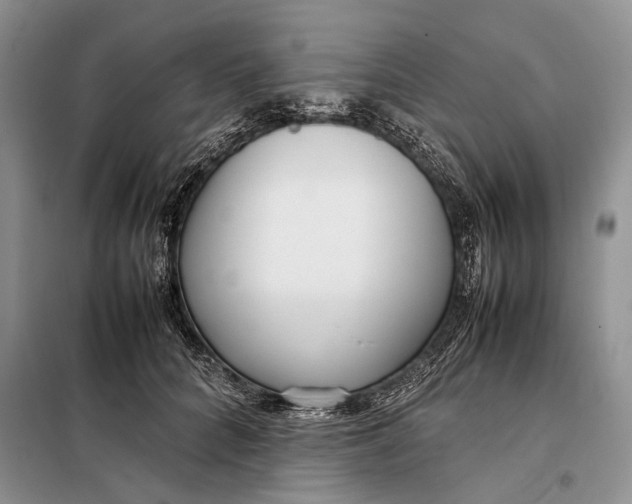 X0000098020704200804181202