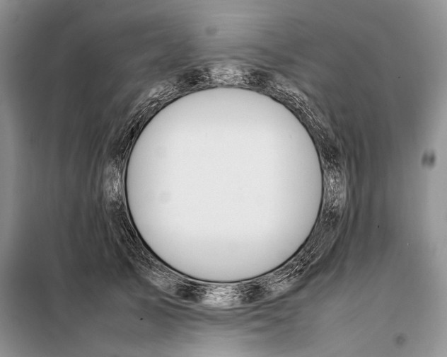 X0000098020705200804181202