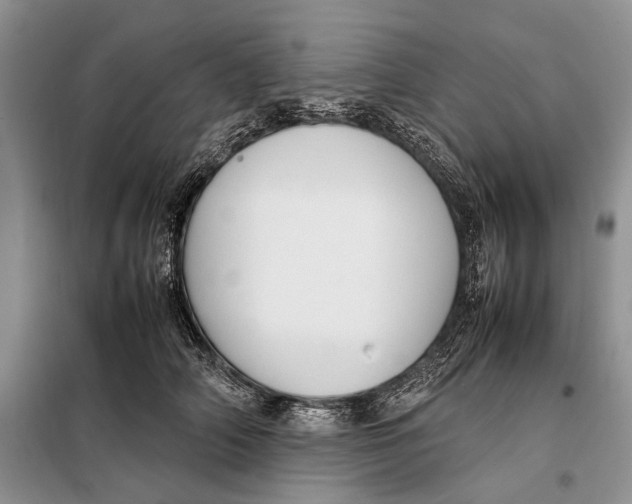 X0000098020706200804181202