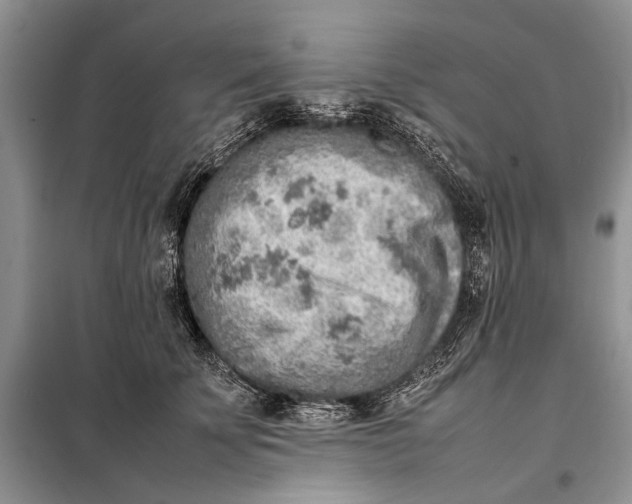 X0000098020707200804181202