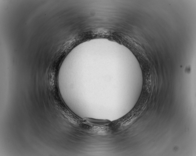 X0000098020708200804181202