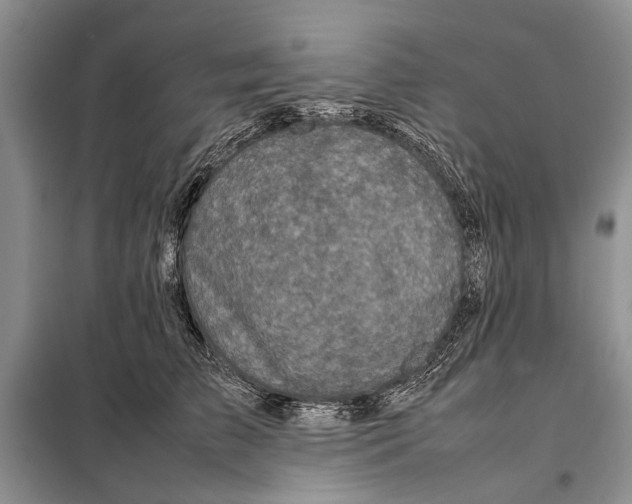 X0000098020709200804181202