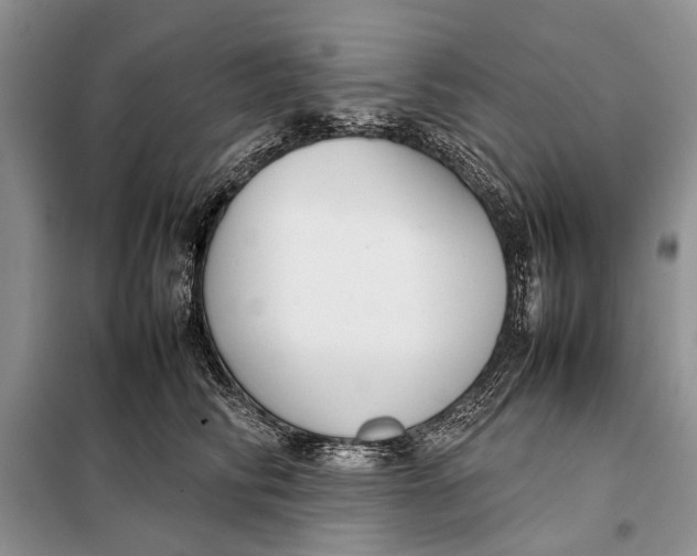 X0000098020710200804181202