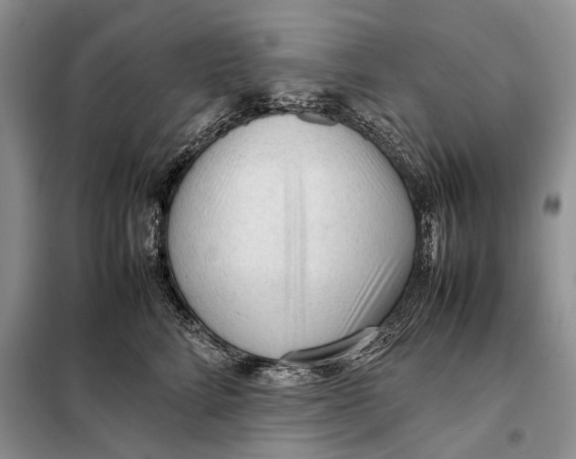 X0000098020712200804181202