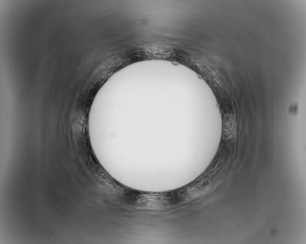 X0000098020713200804181202