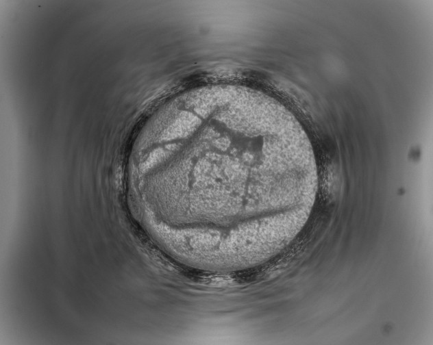 X0000098020715200804181202