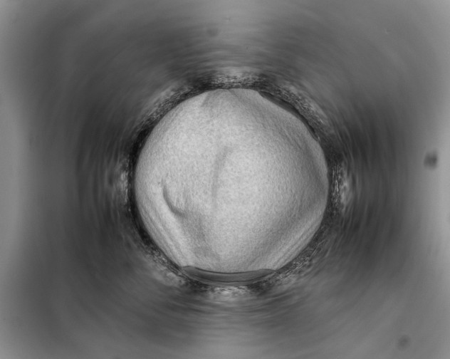 X0000098020716200804181202