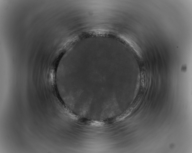 X0000098020718200804181202