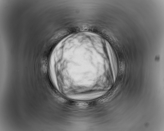 X0000098020719200804181202
