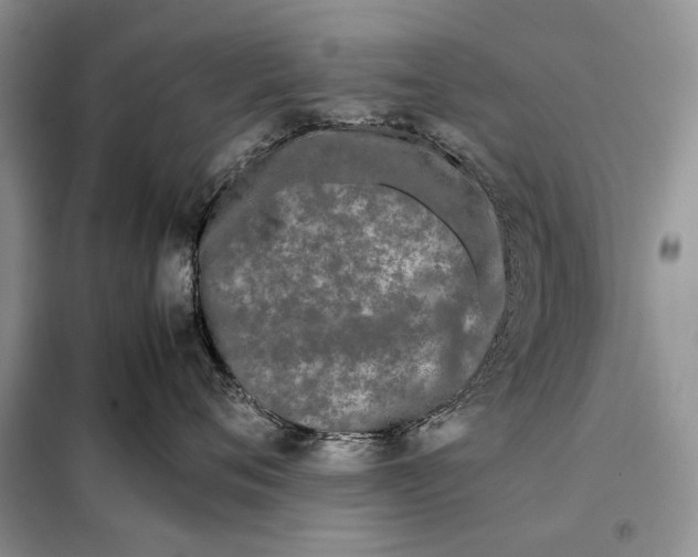 X0000098020720200804181202