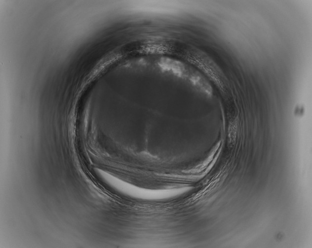 X0000098020722200804181202