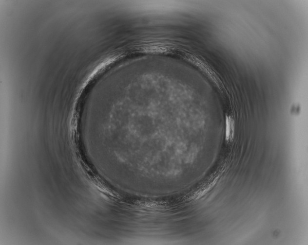 X0000098020723200804181202