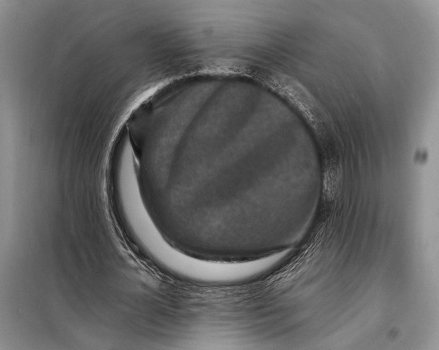 X0000098020724200804181202