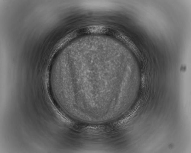 X0000098020725200804181202