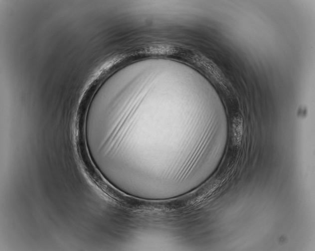 X0000098020726200804181202