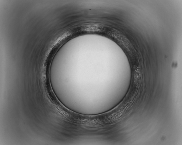 X0000098020727200804181202