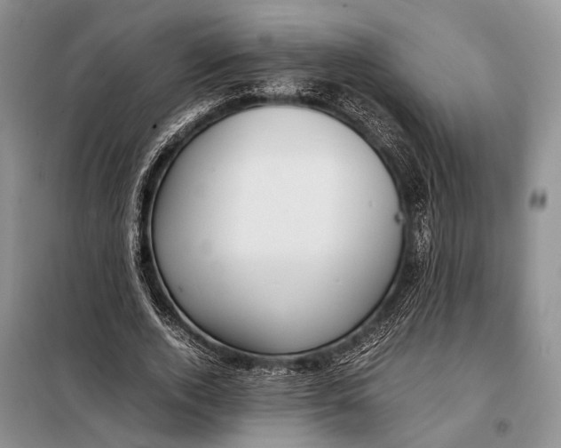 X0000098020728200804181202