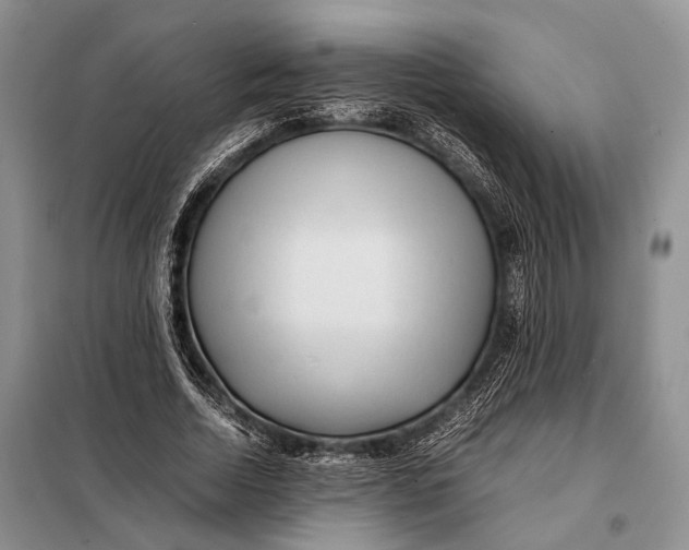 X0000098020730200804181202