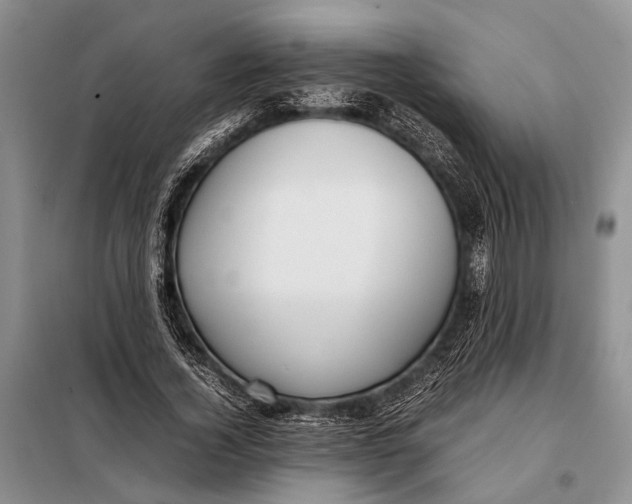 X0000098020732200804181202