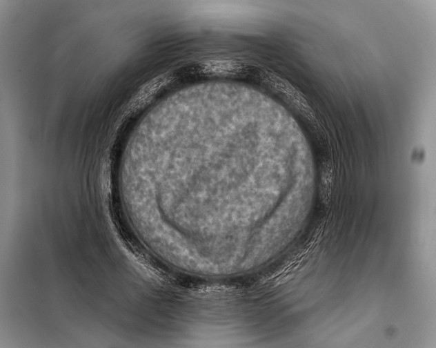 X0000098020734200804181202