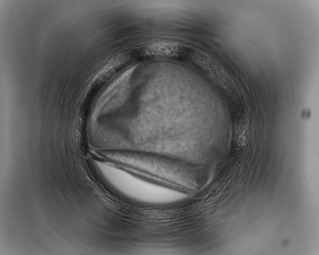 X0000098020735200804181202