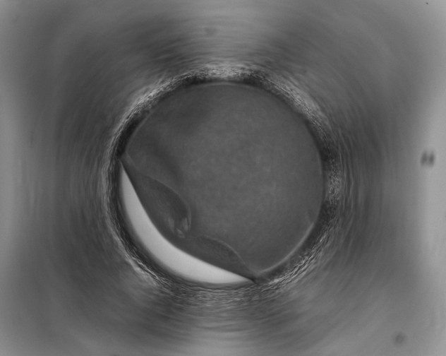 X0000098020736200804181202