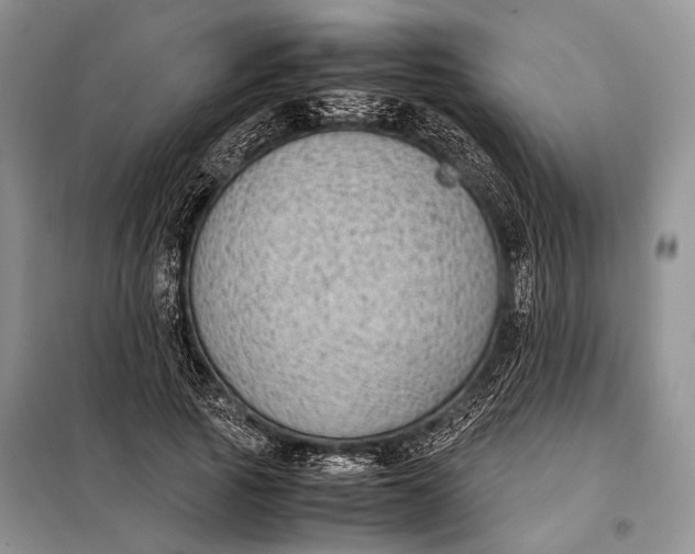 X0000098020737200804181202