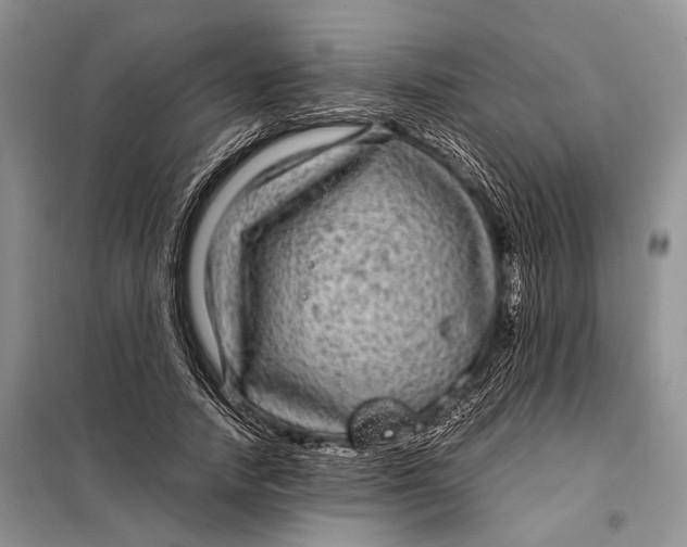 X0000098020738200804181202