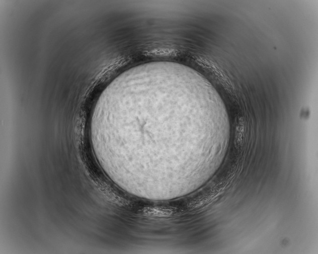X0000098020739200804181202